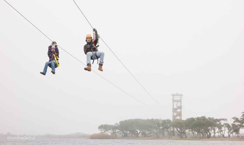 Zip Line over Lake Shelby