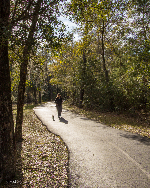 Backcountry Trails walking Gypsy