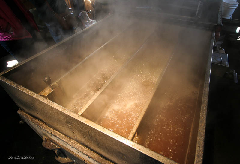 Maple sap boiling