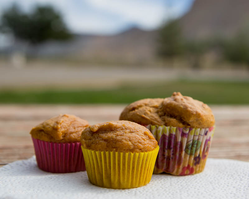 Maple Pumpkin Spice Muffins