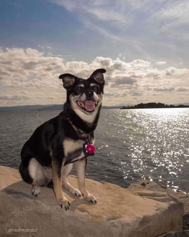 Lucy on Lake Champlain