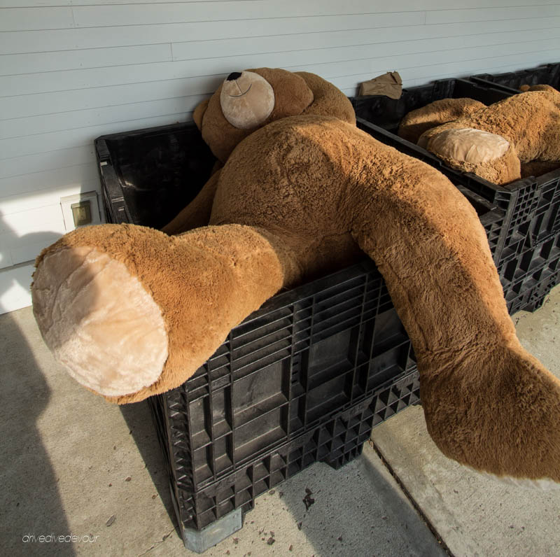 Giant Teddy Bear