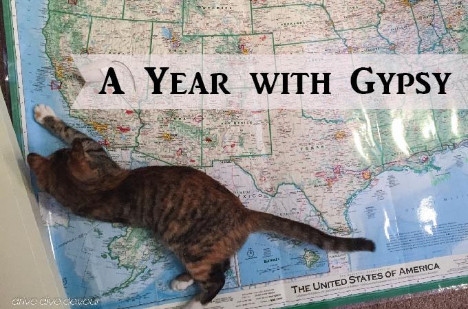 Gypsy with Map