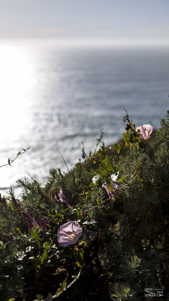 Big Sur cliffs in Central Coast CA